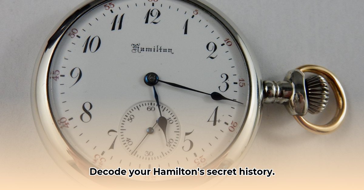 hamilton-watch-serial-number-lookup
